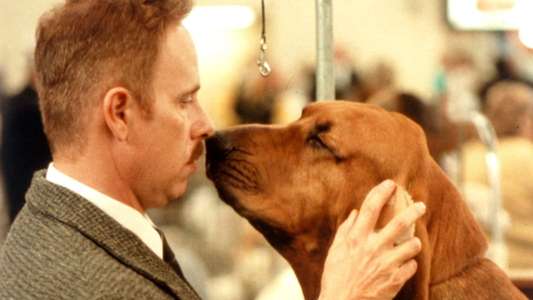 Best in Show - Backdrop
