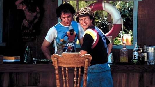 Boogie Nights - Backdrop