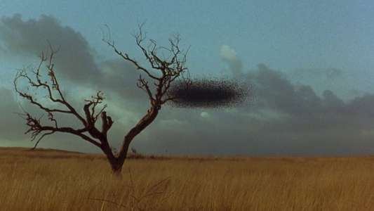 Candyman: Farewell to the Flesh - Backdrop
