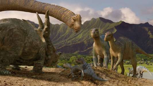 Dinosaur - Backdrops