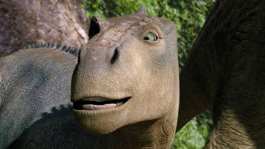 Dinosaur - Backdrops