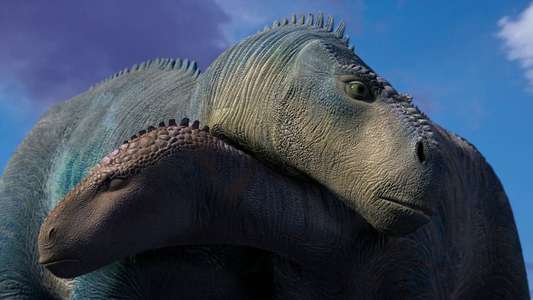 Dinosaur - Backdrops