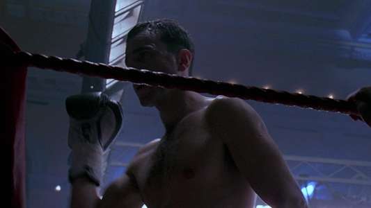 The Boxer - Backdrop