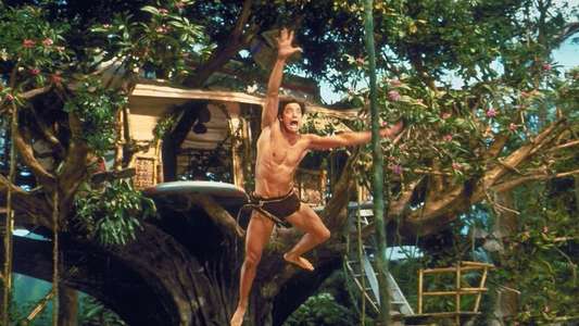 George of the Jungle - Backdrops