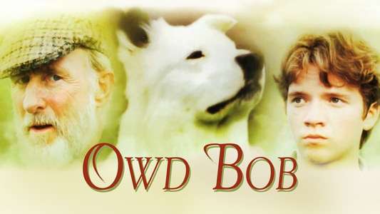 Owd Bob - Backdrop