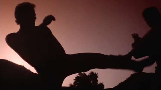 The Fighter - Backdrop