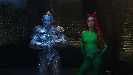 Batman & Robin - Backdrop