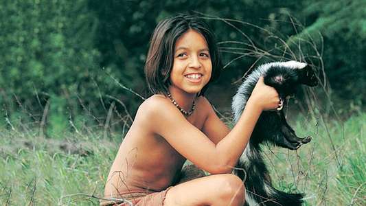 The Jungle Book: Mowgli's Story - Backdrop