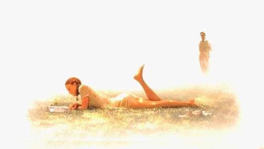 Lolita - Backdrop