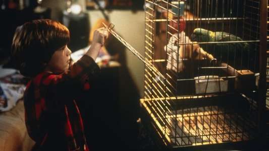 Home Alone 3 - Backdrops