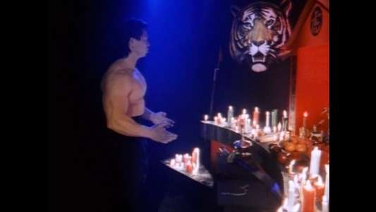 Fearless Tiger - Backdrop
