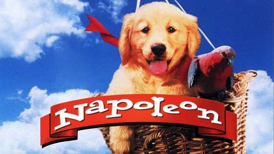 Napoleon - Backdrop