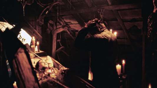 Halloween 5 - Backdrop