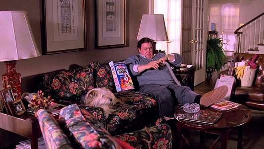 Uncle Buck - Backdrops