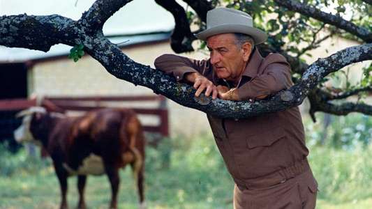 American Experience: LBJ - Backdrop