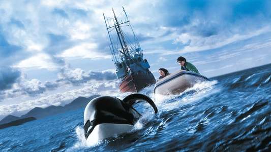 Free Willy 3: The Rescue - Backdrop