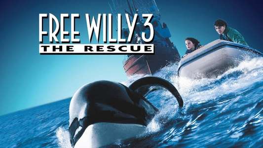 Free Willy 3: The Rescue - Backdrop