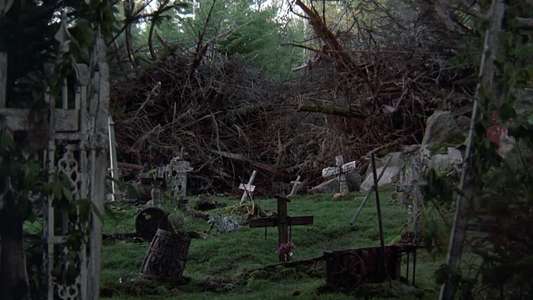 Pet Sematary - Backdrop