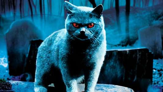 Pet Sematary - Backdrop