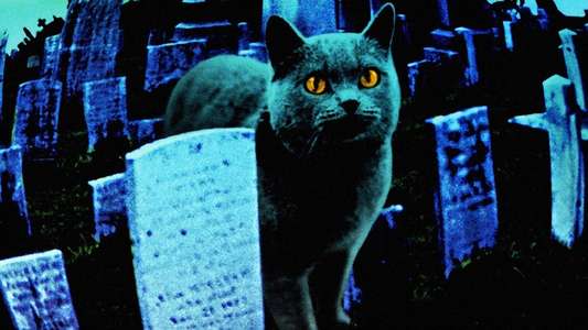 Pet Sematary - Backdrop