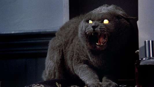 Pet Sematary - Backdrop