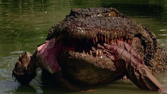 Killer Crocodile - Backdrop