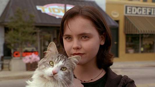 That Darn Cat - Backdrop