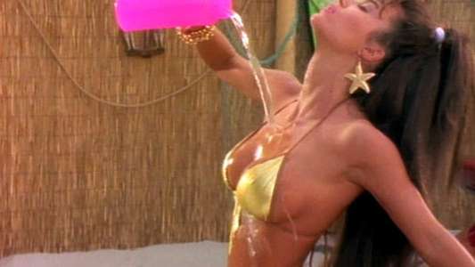 The Bikini Carwash Company - Backdrop