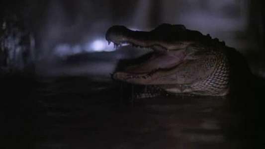 Alligator 2 - The Mutation - Backdrop
