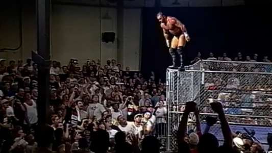 ECW Natural Born Killaz - Backdrop