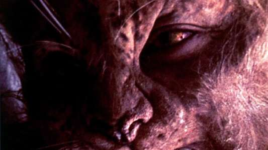 The Island of Dr. Moreau - Backdrop