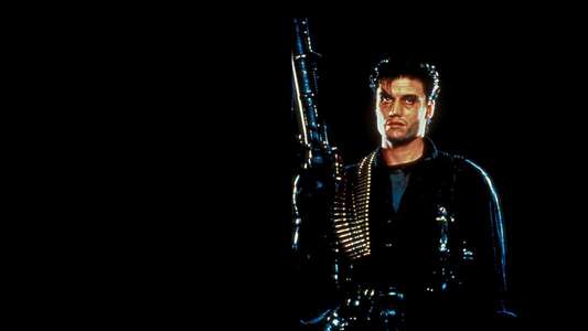 The Punisher - Backdrop