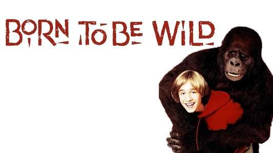 Born to Be Wild - Backdrop