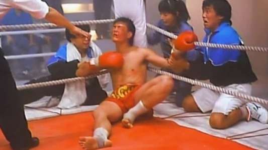 Kickboxer's Tears - Backdrop