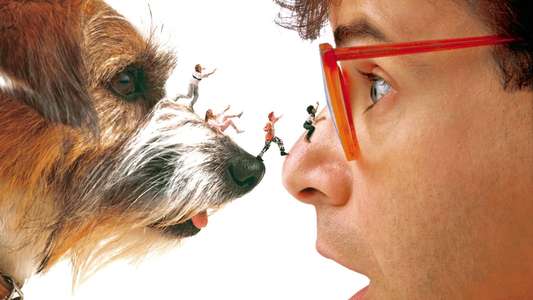 Honey  I Shrunk the Kids - Backdrops