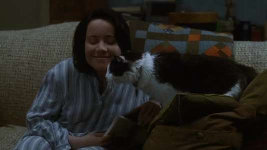 The Truth About Cats & Dogs - Backdrop