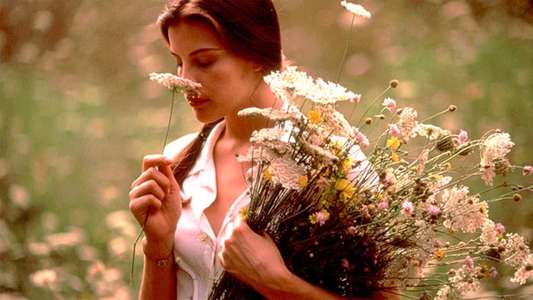 Stealing Beauty - Backdrop