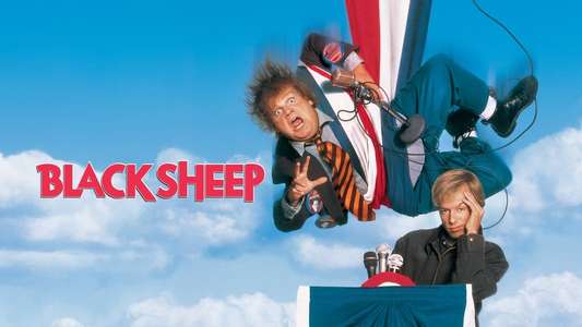 Black Sheep - Backdrop