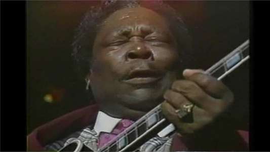 Albert King & B.B. King: Japan Blues Carnival - Backdrop