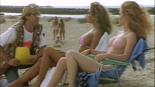 Bikini Summer - Backdrop