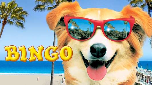 Bingo - Backdrop
