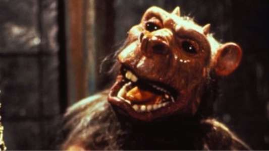 Ghoulies III: Ghoulies Go to College - Backdrop