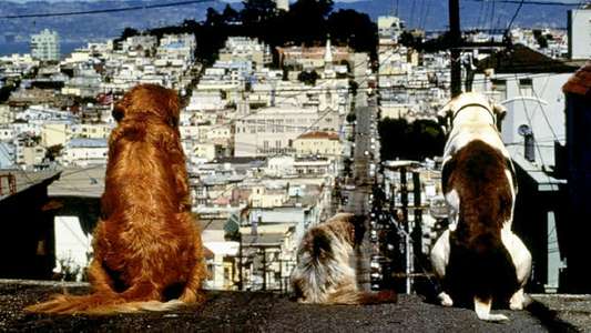 Homeward Bound II: Lost in San Francisco - Backdrop