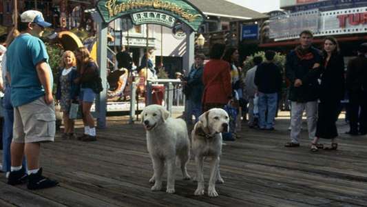 Homeward Bound II: Lost in San Francisco - Backdrop