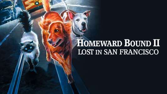 Homeward Bound II: Lost in San Francisco - Backdrop