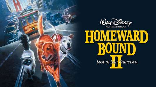 Homeward Bound II: Lost in San Francisco - Backdrop