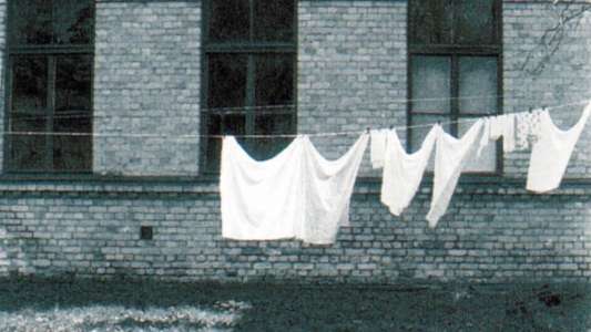 The Linen - Backdrop