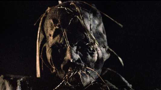Scarecrows - Backdrop