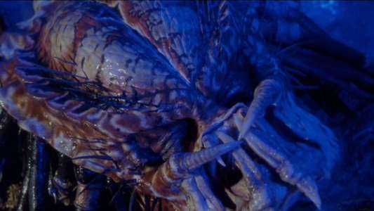 Predator 2 - Backdrops