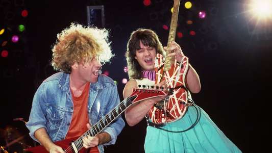 Van Halen - Live Without a Net - Backdrop